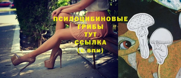 СК Аркадак