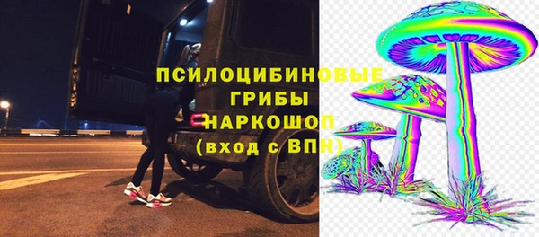 гидра Арсеньев