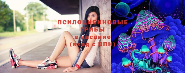 СК Аркадак