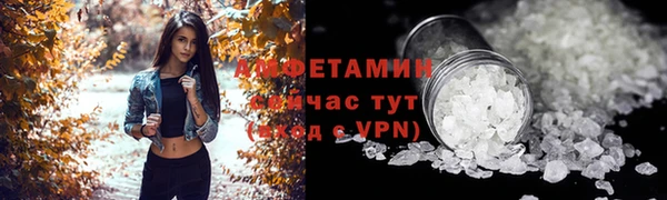 гидра Арсеньев