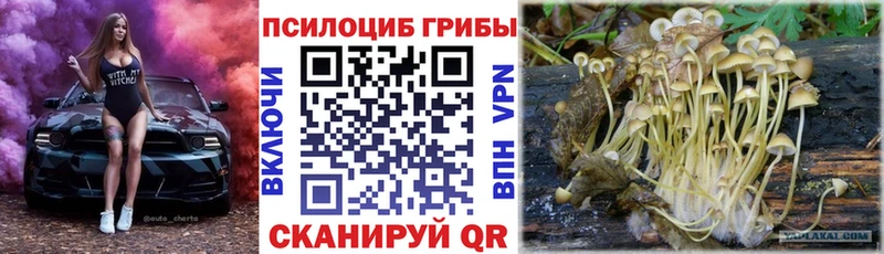 Галлюциногенные грибы Psilocybine cubensis  Черепаново 